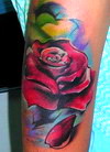 cover up rose